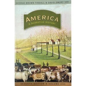 America: A Narrative History (Paperback)